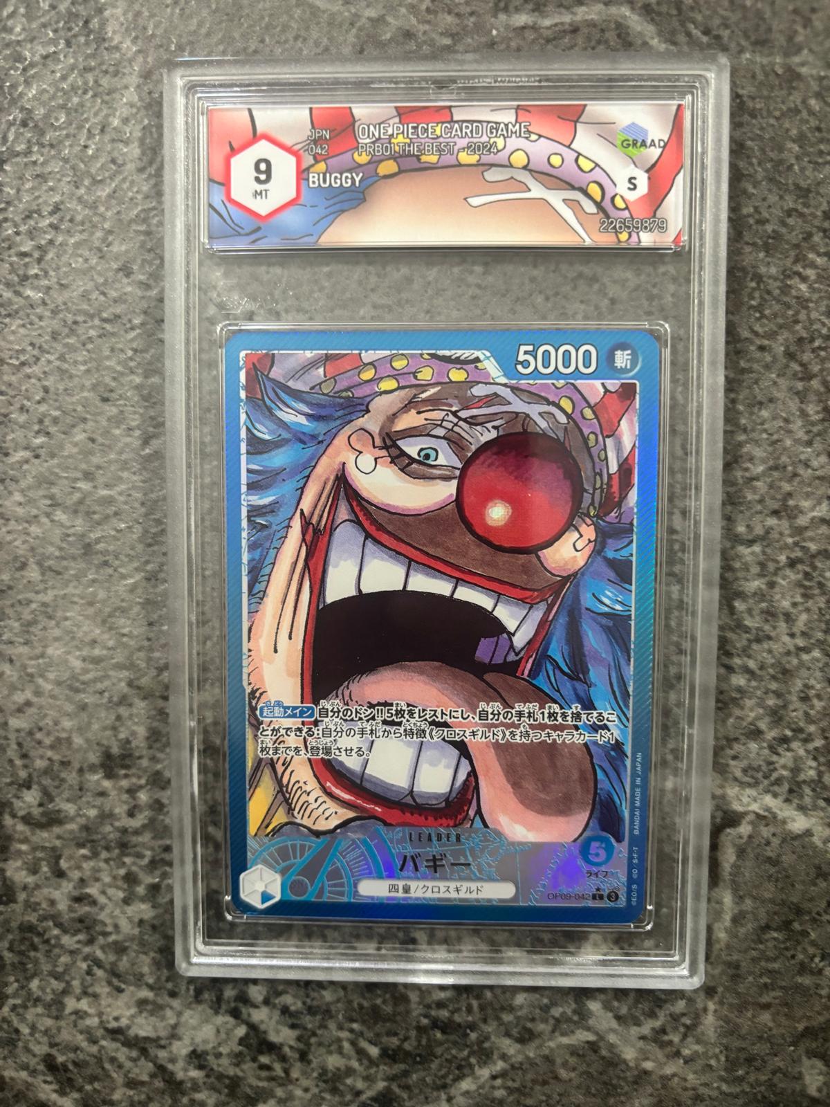 Buggy Leader Graad 9